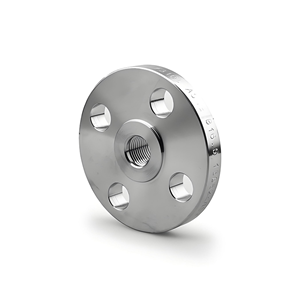 ANSI 150LB 304 Flange